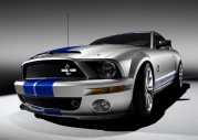 Shelby Cobra GT500 Show Car